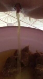 Free Scat Porn