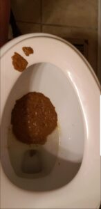 Free Scat Porn
