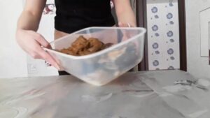 Free Scat Porn