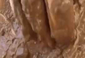 Free Scat Porn