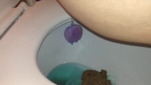 Free Scat Porn