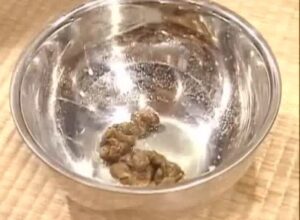Free Scat Porn
