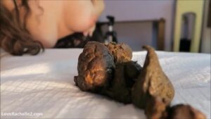 Free Scat Porn