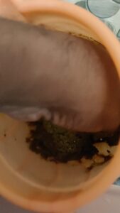 Free Scat Porn