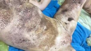 Free Scat Porn