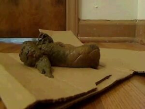 Free Scat Porn