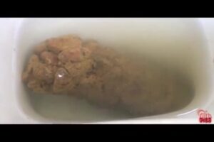 Free Scat Porn