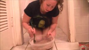 Free Scat Porn