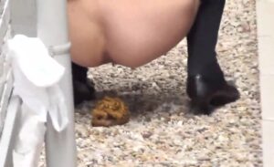 Free Scat Porn