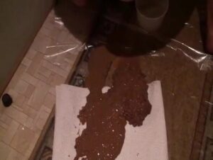 Free Scat Porn