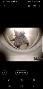 Free Scat Porn