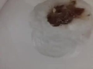Free Scat Porn