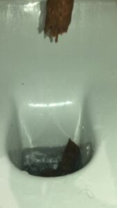 Free Scat Porn