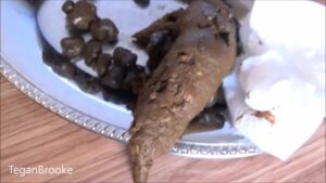 Free Scat Porn