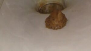 Free Scat Porn