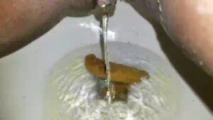 Free Scat Porn