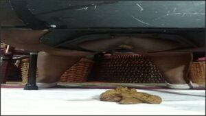 Free Scat Porn