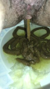 Free Scat Porn
