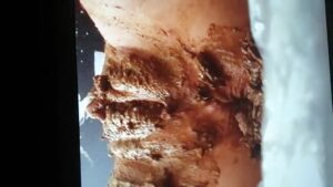 Free Scat Porn