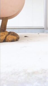 Free Scat Porn