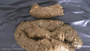 Free Scat Porn