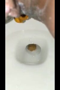 Free Scat Porn