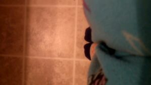 Free Scat Porn