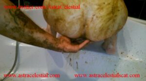 Free Scat Porn