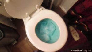Free Scat Porn
