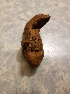 Free Scat Porn