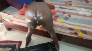 Free Scat Porn
