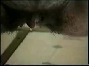 Free Scat Porn