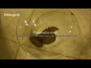 Free Scat Porn