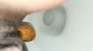 Free Scat Porn