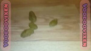 Free Scat Porn