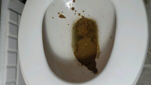 Free Scat Porn