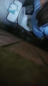 Free Scat Porn