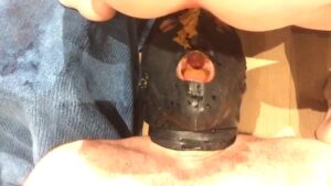 Free Scat Porn