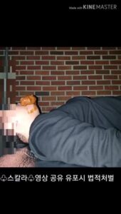 Free Scat Porn