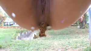 Free Scat Porn