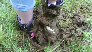 Free Scat Porn