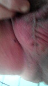Free Scat Porn