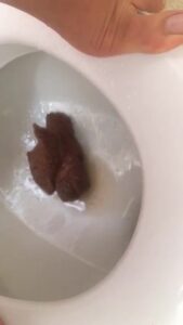 Free Scat Porn
