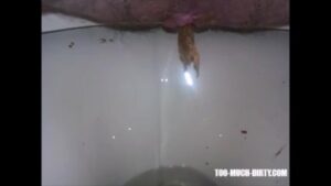 Free Scat Porn