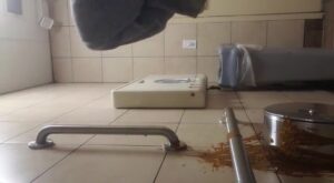 Free Scat Porn
