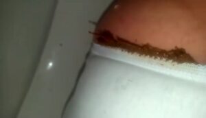 Free Scat Porn