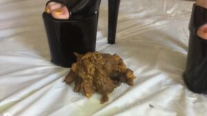 Free Scat Porn