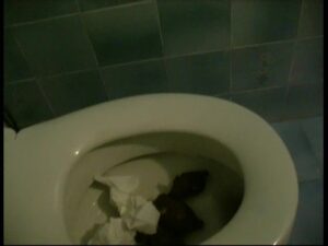 Free Scat Porn