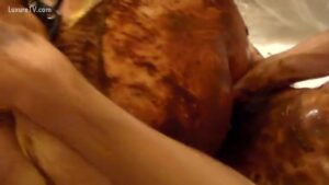 Free Scat Porn