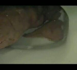 Free Scat Porn